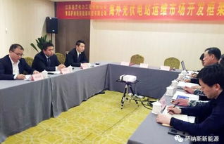 薩納斯與龐沃電力強強聯合，開啟海外新能源技術服務新篇章