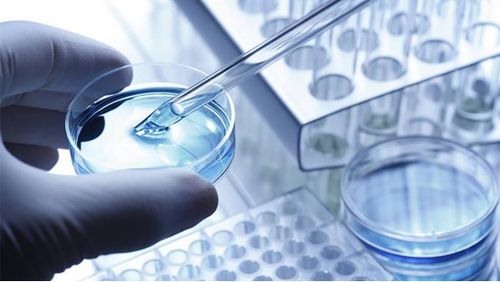 龍池牡丹 緊抓二產(chǎn)，深挖科研，以技術(shù)服務(wù)驅(qū)動(dòng)牡丹精品駛?cè)胧袌?chǎng)藍(lán)海